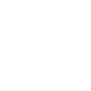 BC Casino Icon Light